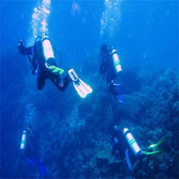 LT-110  T6 800 Lumens 5-Mode Waterproof LED Flashlight