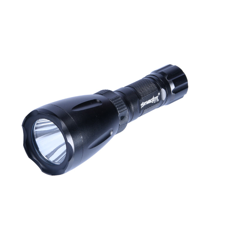 300 Lumens Flashlight 18650/AAA Battery 4 Modes IPX8 Waterproof Work Light Camping Emergency Lantern