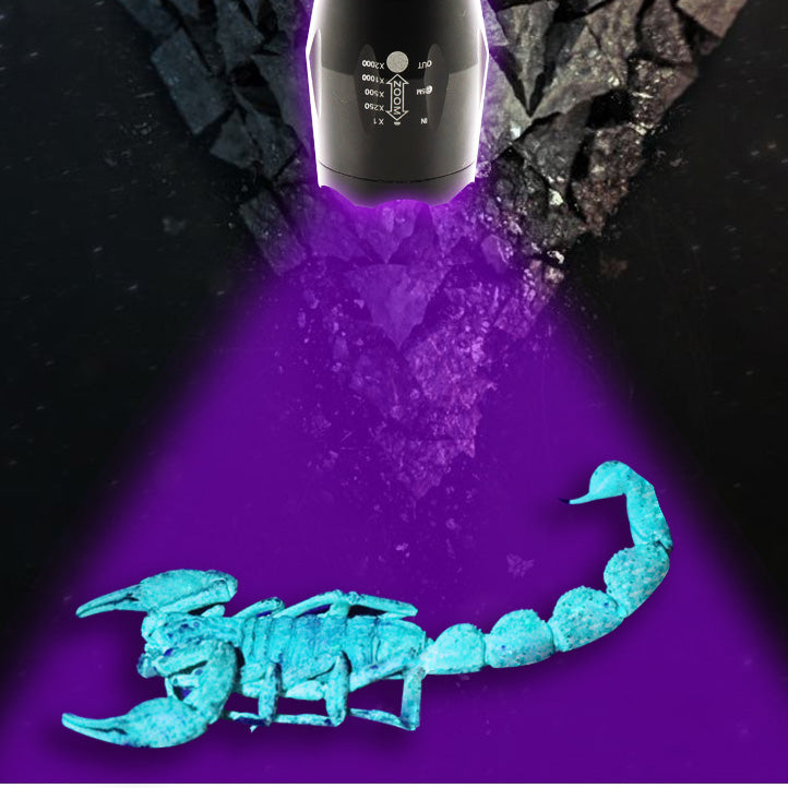 2 in1 XANES UV05 2xT6 LEDs Purple+White Light Zoomable UV Flashlight Scorpion Insect Detection Pen